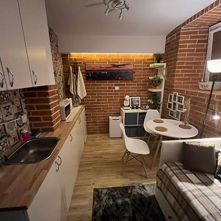 Appartement Mini Apartament W Centrum Krakowa Extérieur photo